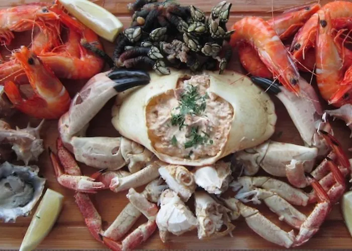 Sonetos Do Sado שטובל